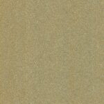 R19-hd-0_Champagne_Skintchen_Seconde_peau_pour_votre_cuisine_renovation_adhesif_film-Architectural_haut_de_gamme_montauban_toulouse_ariege_bordeaux_lot_tarn